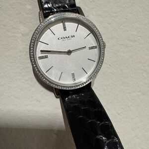 Coach Outlet Silver Audrey Watch 2046